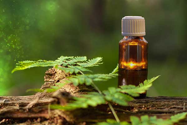 Aromathérapie à Plaudren